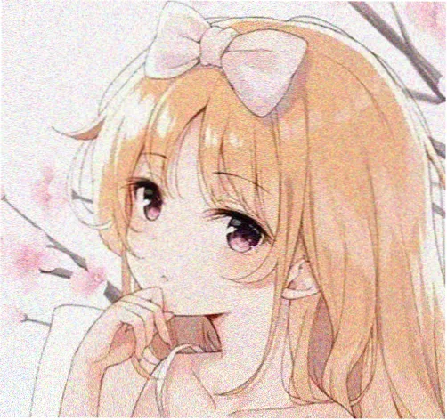 策展人头像